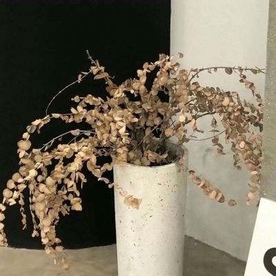 Furry文化趣味解读Furry群